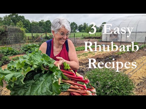 Fresh Rhubarb, Fresh Ideas: 3 Simple Recipes