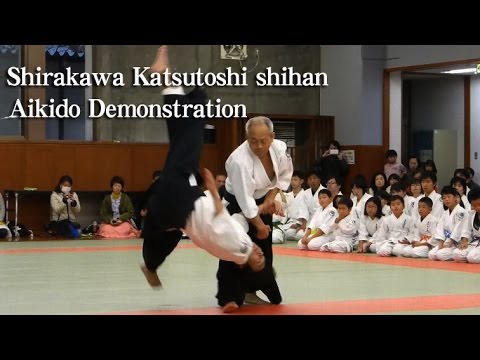 Aikido - Shirakawa Katsutoshi shihan 2014 合気道‐白川勝敏 師範