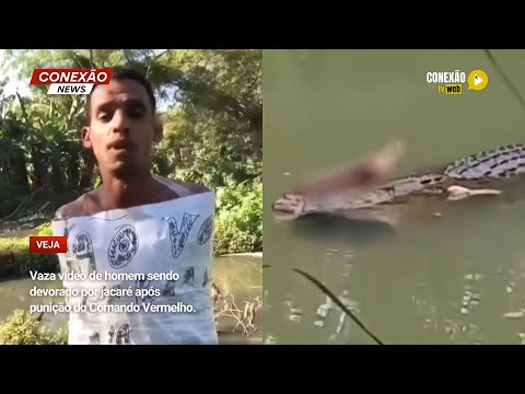 Vídeo: Vaza vídeo de homem sendo devorado por jacarés após punição do Comando Vermelho.