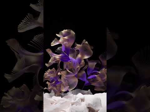 Premiere : 8KAYS & BRAEV - "Basic"