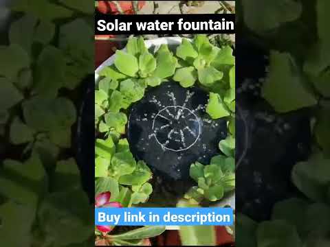 Non branded black solar water fountain for home gardening