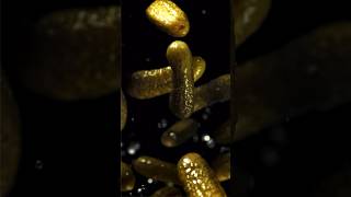 Download lagu Gherkins/Pickles. Why are they so great for your gut? #gherkin #pickle #pickles #food #foodfacts mp3 Download lagu Gherkins/Pickles. Why are they so great for your gut? #gherkin #pickle #pickles #food #foodfacts mp3