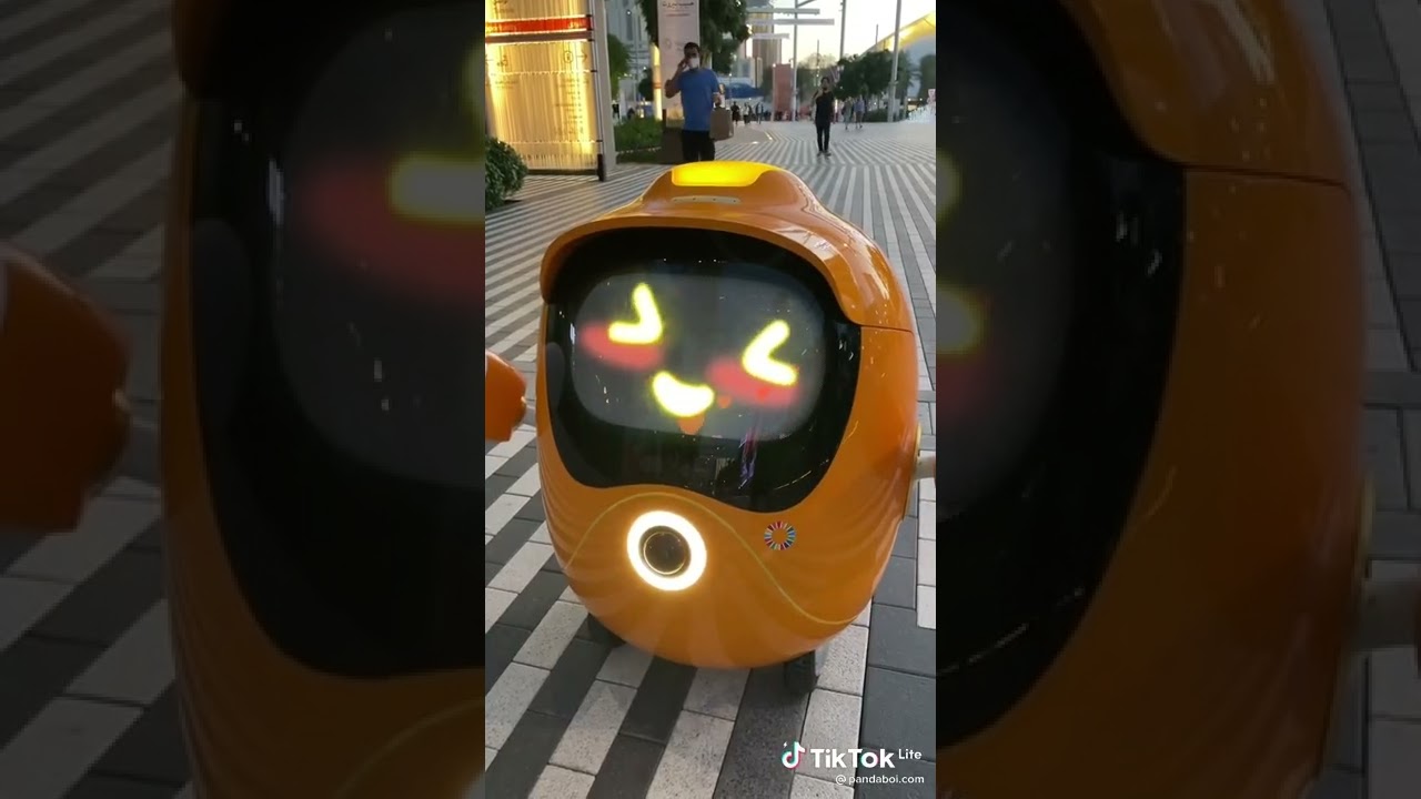 Do you like this super cute robot ?