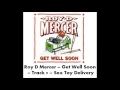 Roy D Mercer - Get Well Soon - Track 9 - Sex Toy Delivery