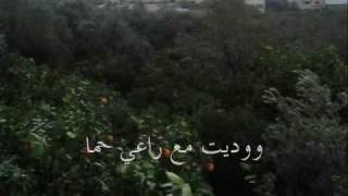 كلمات اغنية قومي طلعي ميرسيل خليفه