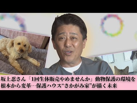 動物保護施設にはますます多くのエキゾチックな動物が増えている