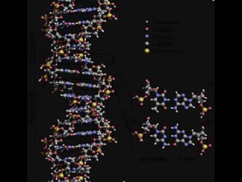 Biogenetics