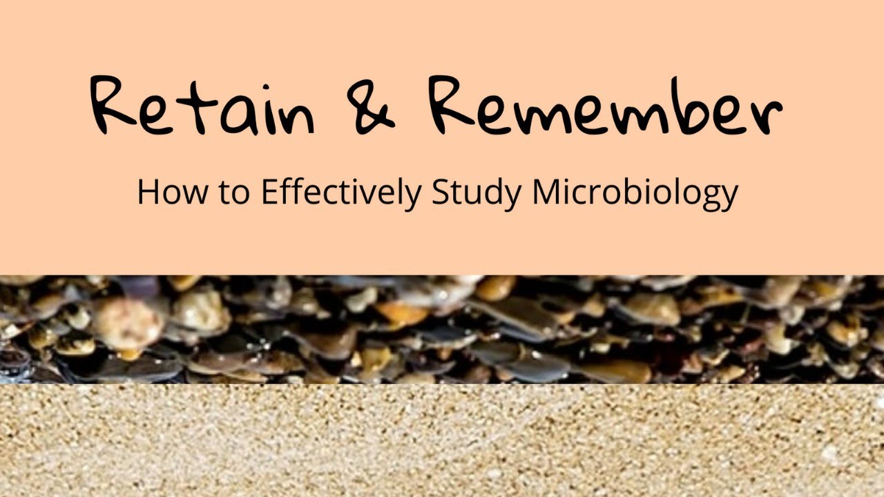 How to Study #Microbiology Efficiently and Effectively
