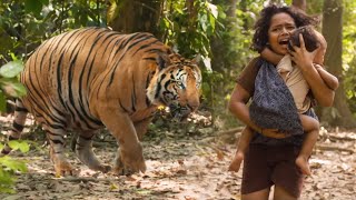 Tollywood Biggest Blockbuster Tiger Fight Scene Mohanlal Namitha Tollywood Talkies Mp4 3GP & Mp3