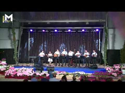 Tino Jelenić uz TS Frikovi - Z Međimurjem dišem (festival Kre Mure i Drove, Prelog 2017.)