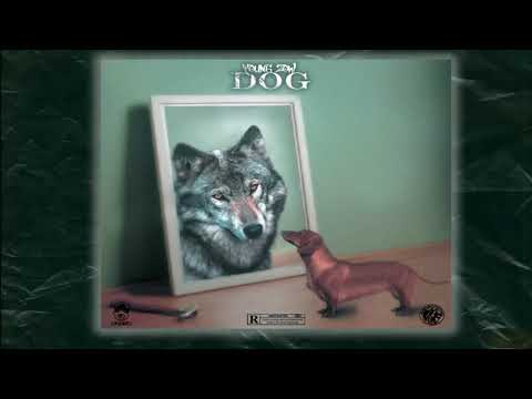young zow _DOG(lyrics Audio)#CB4-GANG