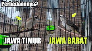 Download lagu Did You Know? The Difference Between East Javanese and West Javanese Trucuk? mp3 Download lagu Did You Know? The Difference Between East Javanese and West Javanese Trucuk? mp3