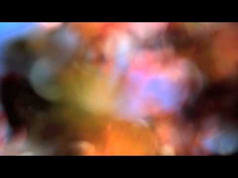 Ariel Pink- Phantasthma