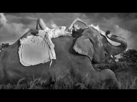 Kaan Koray - Heart Of Africa (Faskil Breaks Mix)