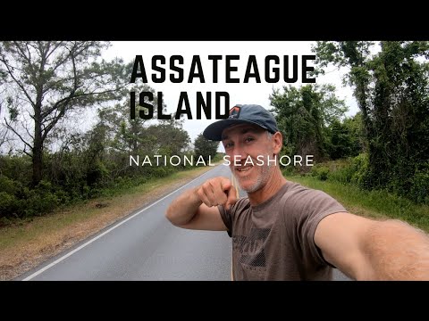 image-How do I contact Assateague Island National Park? 