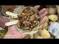 Aloo Kabli Chaat Kolkata Street Food