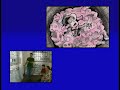 Toy Story 2 Woody S Nightmare Storyboard Pitch 1080p60