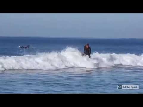 Surfing Lower Trestles California