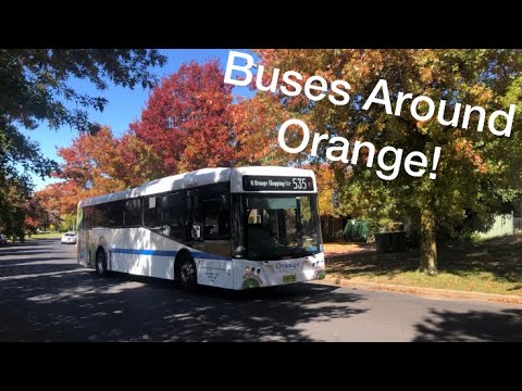 Buses Around Orange! | Bus Vlog #2