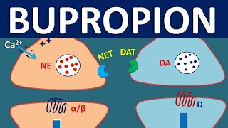 Bupropion (Wellbutrin) - How it works, Uses, Side effects and Precautions