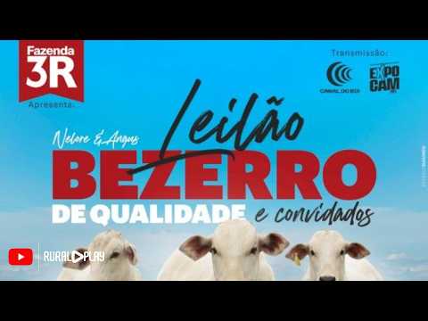 LEILÃO FAZENDAS 3R • EXPOCAM 2026 - CAMAPUÃ/MS - RURAL PLAY