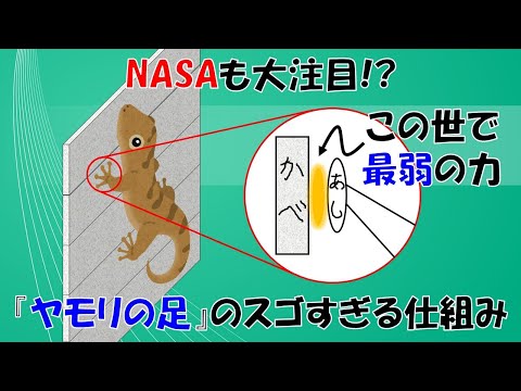 ファンデルワールス半径について詳しく解説