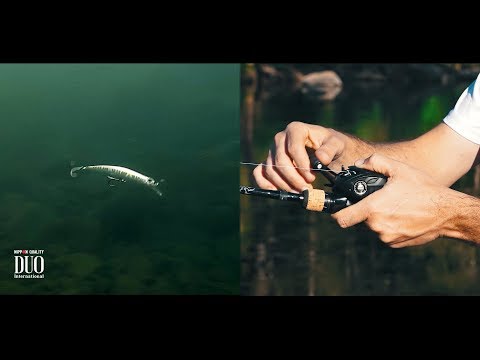 Воблеры DUO Spearhead Ryuki 110S SW Limited