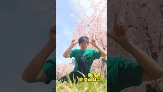 #松阪牛 #三重県 #sakura #新潟県 #桜 #shorts #ギャグ #挨拶