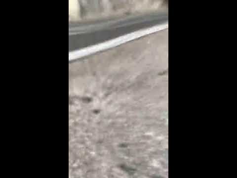 Bicycle Downhill - Baske Ostarije  Croatia Velebit