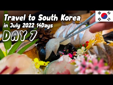 KR DAY7 Ilha de Jeju Dia 2 Tour pelos locais de filmagem de dramas coreanos [Em toda a Coreia] Diário de viagem de 14 dias