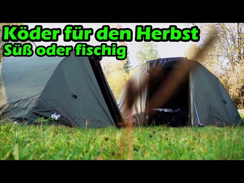 Karpfen angeln am See - Süß oder doch lieber Fischig/Herb Karpfenangeln im Herbst