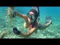 Spearfishing Lobstering In Grand Bahama
