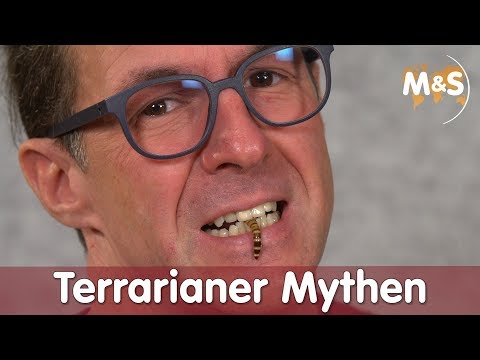 Mythen der Terraristik | Richtig oder Falsch ? | Reptil TV