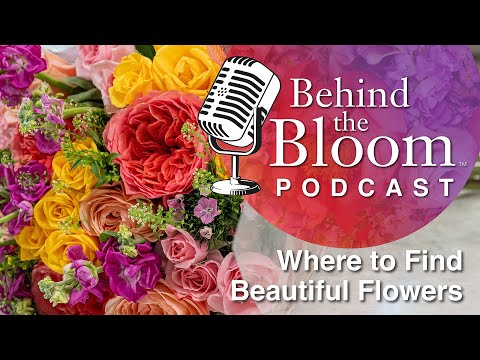 Behind the Bloom Episode 1