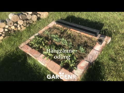 Odla i hängrännan - Trädgårdshacks med GardenR
