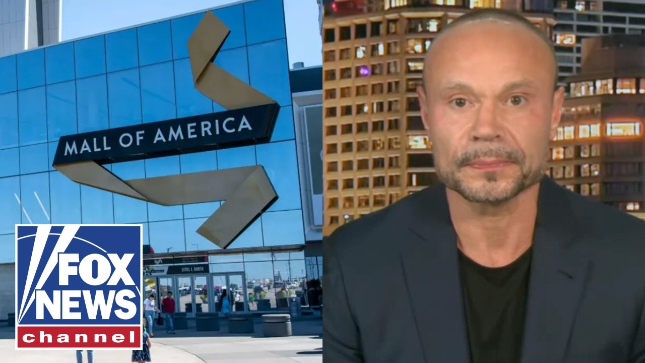 President Trump took the leash off the FBI, Dan Bongino says