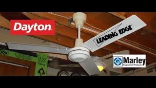 Dayton (Marley) Leading Edge Ceiling Fan (1 of 2)