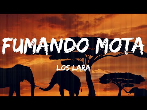 Los Lara - Fumando Mota (Lyrics)