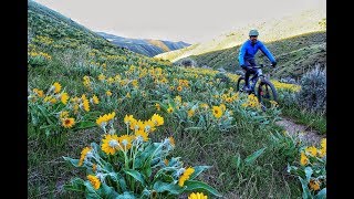 BoiseTrails.com | Watchman Trail Preview | Mountain Biking in Boise Idaho