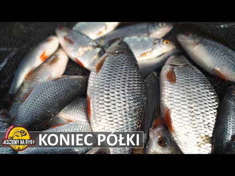 NO BITES?? We're looking for drop-offs and ledges with a feeder.