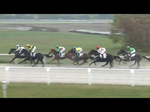 2020.10.25. 01. futam - DUCE HENDIKEP (V.o.) (szintetikus pálya)