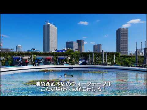 動画サムネイル