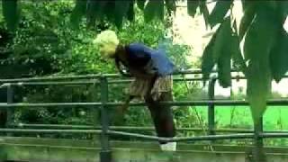 I Don't Want To See You (Camera Obscura)