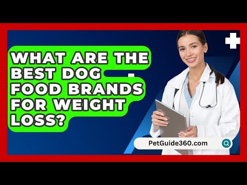 What Are The Best Dog Food Brands For Weight Loss? - PetGuide360.com