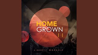 Wild and Free (feat. Josh Halls)