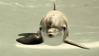 Queen Latifah - Mama Gave Birth To The Soul Children