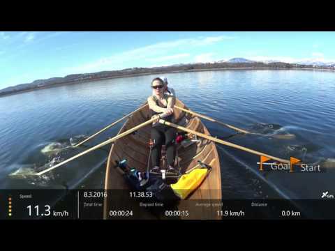 2016 03 08 Lago Di Varese, Gavirate