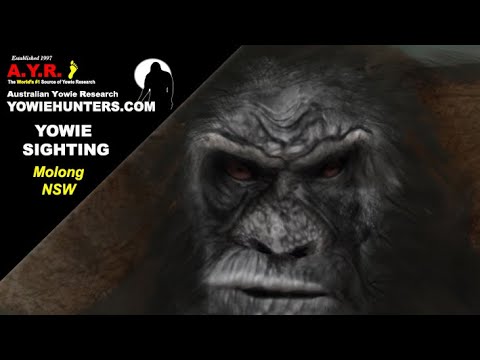 Yowie / Bigfoot Sighting (Audio report #192) near Molong, New South Wales