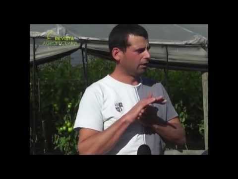DARIO PEREZ - HORTICULTOR DE LA ESCOBILLA