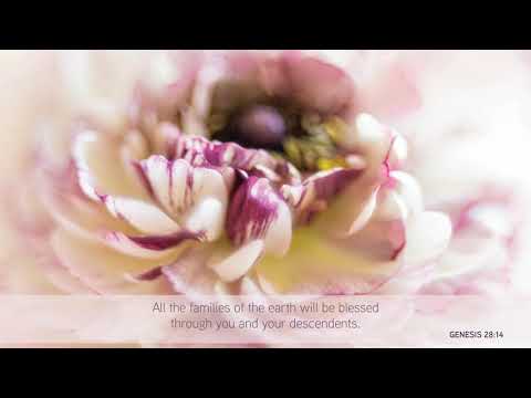Genesis 28 14
